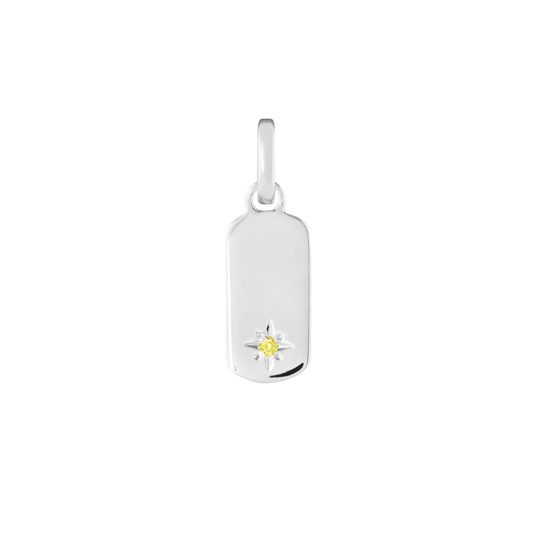 Birthstone Tag Silver Clip Charm