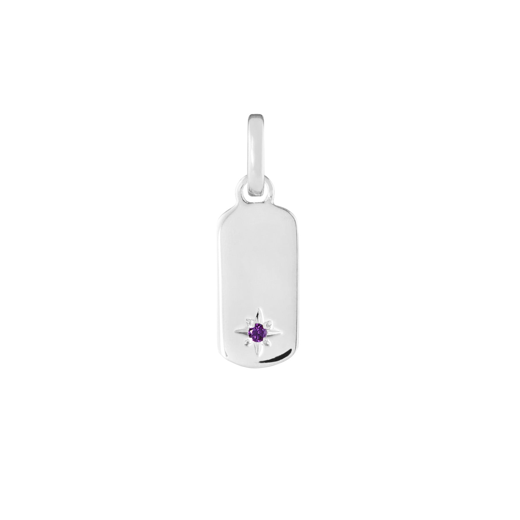Birthstone Tag Silver Clip Charm