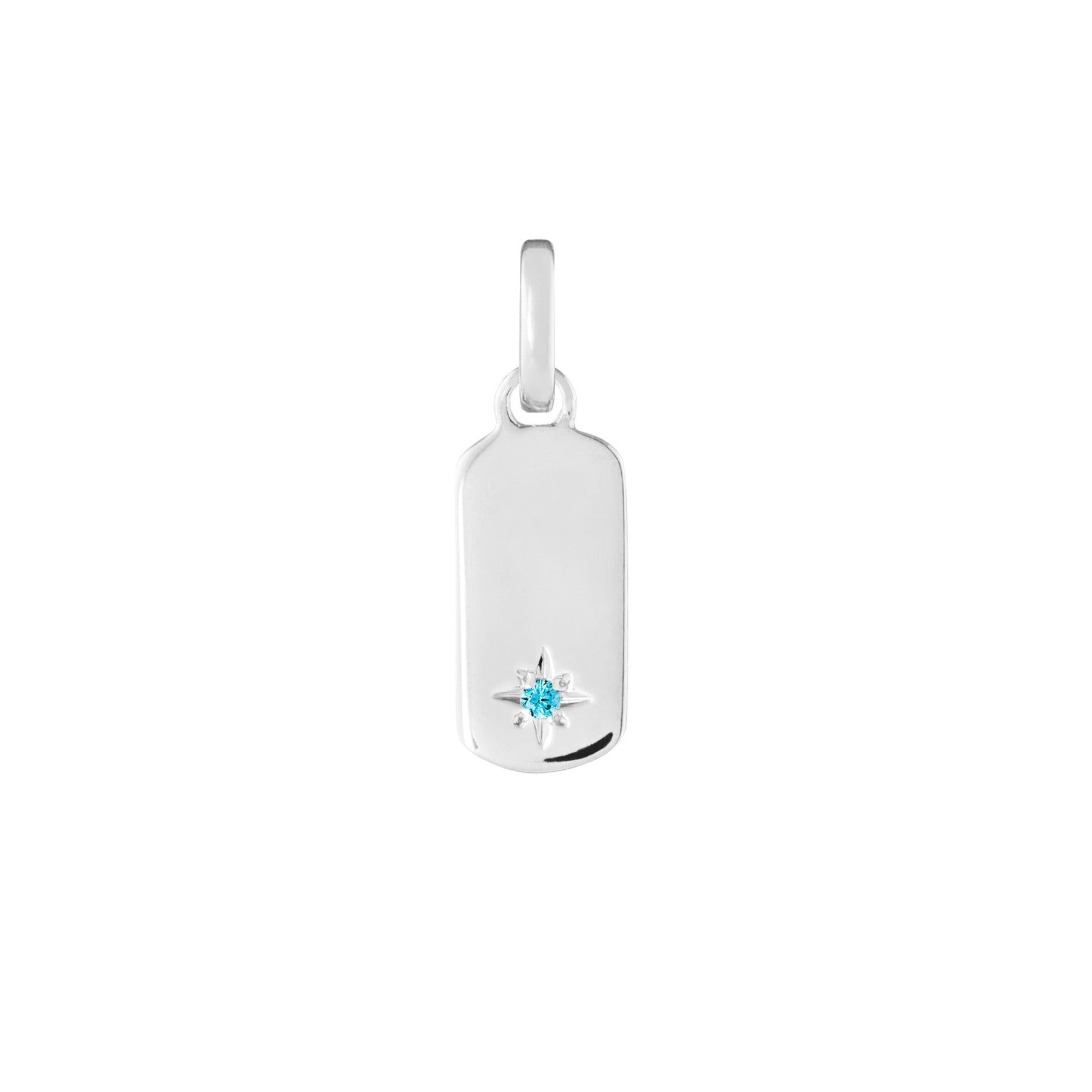 Birthstone Tag Silver Clip Charm
