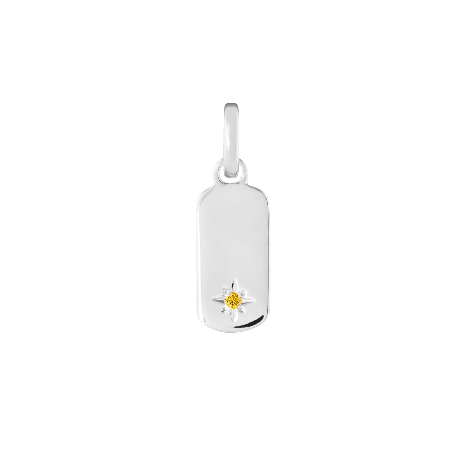 Birthstone Tag Silver Clip Charm