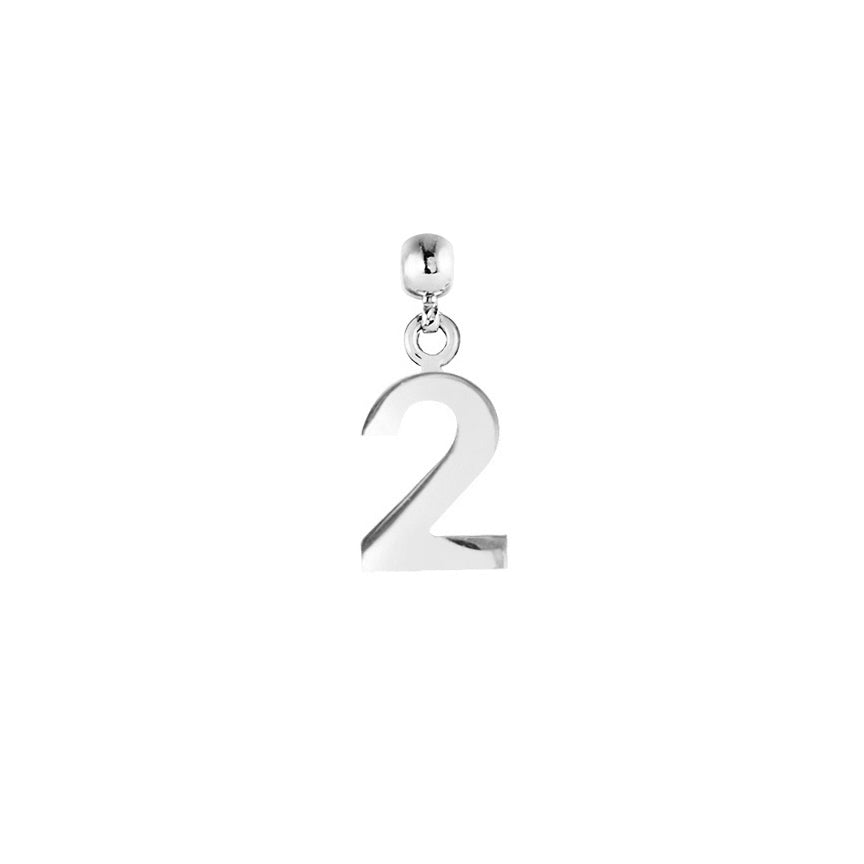 Number Silver Charms
