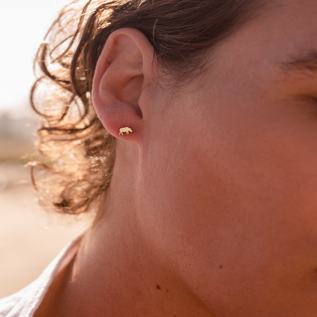 Tiny Rhino Studs